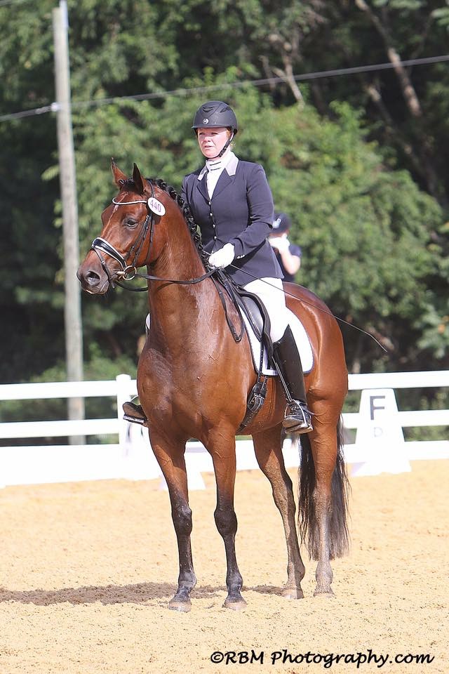 Ashley Parsons Dressage